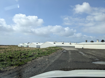 FTFB Wallet headquarters